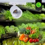 Spot LED sur rail monophasé - Spécial primeurs - 40W