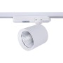 Spot LED sur rail monophasé - Spécial primeurs - 40W