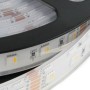 Ruban LED imperméable RGBWW 24V SMD 5050 96W IP67 5M