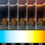 Ruban LED 24V-DC - 90W - température de couleur réglable CCT - 1800-6500K - SMD2835 - Rouleau de 5 mètres