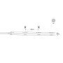 Ruban LED COB 24V DC - 12W/m - Couleurs - 8mm - IP20 - Rouleau de 5 mètres - Sécable tous les 4cm