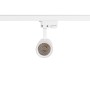 Spot LED sur rail monophasé - CCT réglable sur 3 températures différentes de 3000-6000ºK - 15W - CRI 90 - Driver KGP