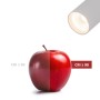 Spot LED sur rail monophasé - CCT réglable sur 3 températures différentes de 3000-6000ºK - 15W - CRI 90 - Driver KGP
