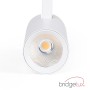 Projecteur LED sur rail triphasé - 10W - CCT réglable sur 3 températures différentes de 3000-6000ºK - CRI90 - 860 lm