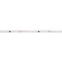 Ruban LED monochrome intelligent IC 24V DC - 15W/m - IP20 - 120LED/m - Largeur 10mm - 10 mètres