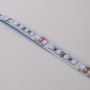 Ruban LED 24V DC - 18W/m - Ultraviolet - 10mm - IP20 - 5 mètres - SMD2835 120LED/m
