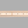 Ruban LED 24V DC Submersible - Monochrome - 9.6W/m - 10mm - IP68 - 5 mètres - 120LED/m