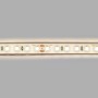 Ruban LED 24V DC Submersible - Monochrome - 9.6W/m - 10mm - IP68 - 5 mètres - 120LED/m