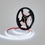 Ruban LED 24V DC Submersible - Monochrome - 9.6W/m - 10mm - IP68 - 5 mètres - 120LED/m