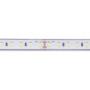 Ruban LED 24V Mono IP68 9,6W/m – Étanche et Submersible