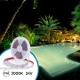 Ruban LED 24V DC Submersible - Monochrome - 9.6W/m - 12mm - IP68 - 10 mètres - 120LED/m