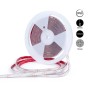 Ruban LED 24V DC Submersible - Monochrome - 9.6W/m - 12mm - IP68 - 10 mètres - 120LED/m