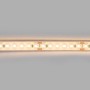 Ruban LED 24V DC Submersible - Monochrome - 9.6W/m - 12mm - IP68 - 10 mètres - 120LED/m