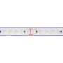 Ruban LED 24V DC Submersible - Monochrome - 9.6W/m - 12mm - IP68 - 10 mètres - 120LED/m