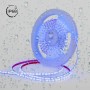Ruban LED RGB 24V DC submersible - 14.4W/m - 12mm - IP68 - 10 mètres - 60LED/m