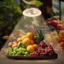 Spot LED encastrable rond spécial fruits et légumes - 44W - Coupe Ø210 mm