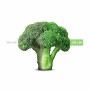 Spot LED encastrable rond spécial fruits et légumes - 44W - Coupe Ø210 mm