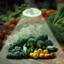 Spot LED encastrable rond spécial fruits et légumes - 44W - Coupe Ø210 mm