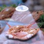 Spot LED encastrable rond spécial poissonnerie - 44W - driver Philips - Ø210 mm