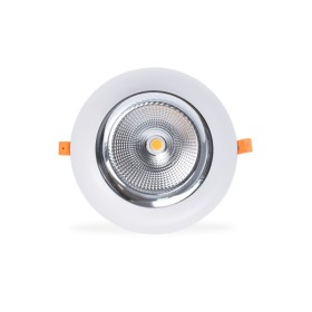 Spot LED encastrable rond spécial poissonnerie - 44W - driver Philips - Ø210 mm