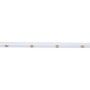 Ruban LED COB RGB 24V – Éclairage Latéral Intérieur 5m