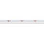 Ruban LED COB monochrome 24V DC - Emission latérale - 9W/m - 8mm - IP20 - Coupe 3cm - Rouleau de 5 mètres