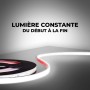 Ruban LED 230V 75W (600xSMD2835) 12mm IP67 Rouleau de 5 mètres