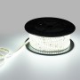 Ruban LED 220V AC - Monocouleur - 8W/m - 10mm - IP65 - 50 mètres - 120ch/m