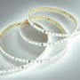 Ruban LED 220V AC - Monocouleur - 8W/m - 10mm - IP65 - 50 mètres - 120ch/m
