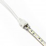 Ruban LED 220V AC - Monocouleur - 8W/m - 10mm - IP65 - 50 mètres - 120ch/m