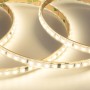 Bande LED 220V AC - Monocouleur - 8W/m - 10mm - IP65 - 10 mètres - 120ch/m