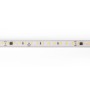 Bande LED 220V AC - Monocouleur - 8W/m - 10mm - IP65 - 10 mètres - 120ch/m