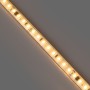 Bande LED 220V AC - Monocouleur - 8W/m - 10mm - IP65 - 5 mètres - 120ch/m