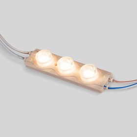 Module LED monochrome pour signalisation - 3W- 220V AC - IP65 - 16º
