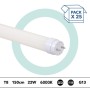 PACK x 25 - Tube LED T8 - 22W - 150cm - 2280lm - 1 connexion d'extrémité