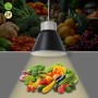 Suspension LED 36W spéciale fruits et légumes - Driver KeGu