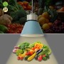 Suspension LED 36W spéciale fruits et légumes - Driver KeGu