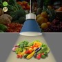 Suspension LED 36W spéciale fruits et légumes - Driver KeGu