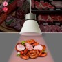 Suspension LED 36W spéciale boucherie - Driver KeGu