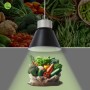 Suspension LED 36W spéciale légumes - Driver KeGu