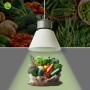 Suspension LED 36W spéciale légumes - Driver KeGu