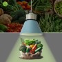 Suspension LED 36W spéciale légumes - Driver KeGu
