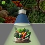 Suspension LED 36W spéciale légumes - Driver KeGu