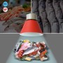 Suspension LED 36W spéciale poissons et fruits de mer - Driver KeGu