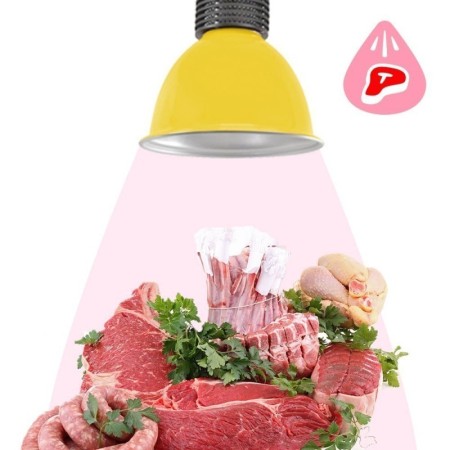 Cloche LED 30W spécial boucherie