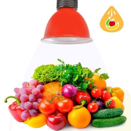 Cloche LED 30W spécial fruits et légumes