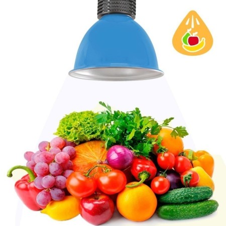 Cloche LED 30W spécial fruits et légumes