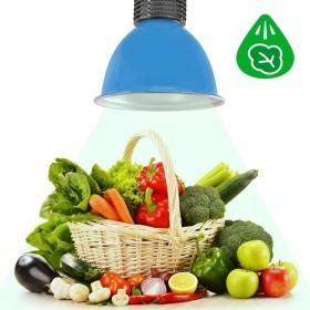 Cloche LED 30W spécial légumes verts