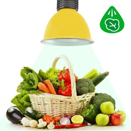 Cloche LED 30W spécial légumes verts