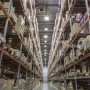 Suspension LED industrielle 150W - 100lm/W - IP65 - 5 ans de garantie